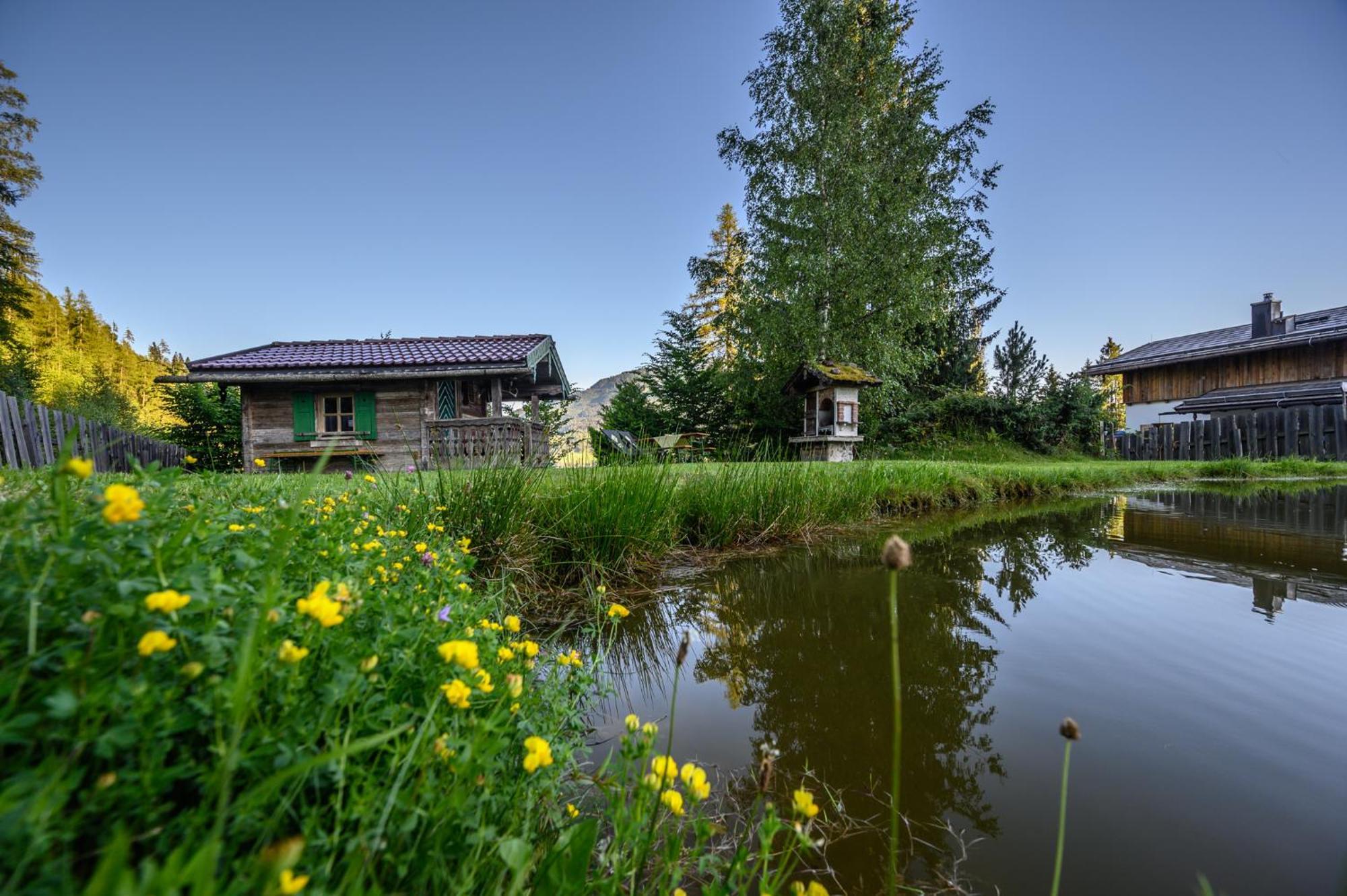 Das Eulersberg Apartments & Chalets 维尔芬翁 外观 照片